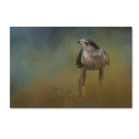 Jai Johnson 'Evening Hawk' Canvas Art,30x47